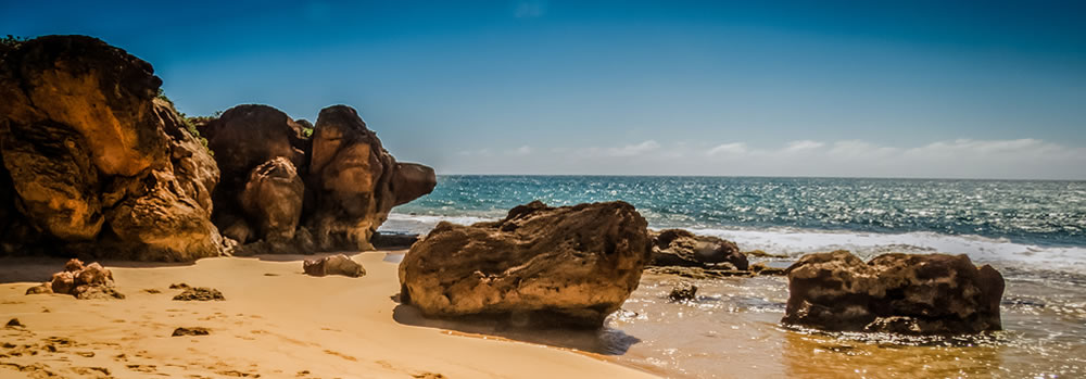 Picture of pacific trails coastline